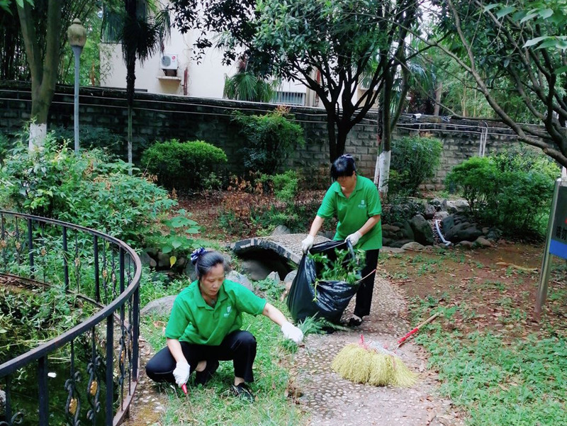 信泰物業(yè)強(qiáng)化衛(wèi)生整治，全面做好創(chuàng)衛(wèi)驗(yàn)收復(fù)查