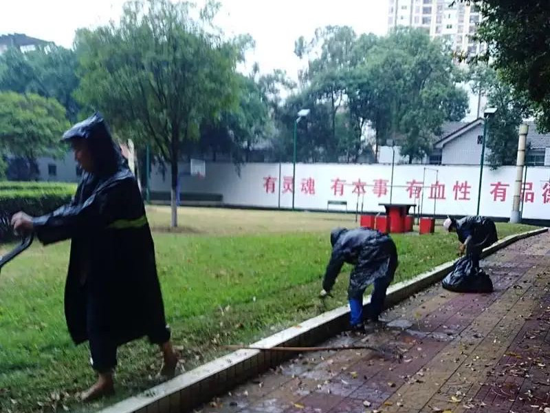 無懼風雨，信泰為您守護