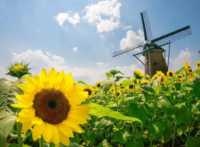 圖片關(guān)鍵詞 圖片關(guān)鍵詞