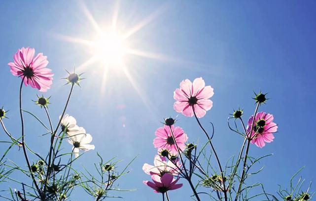 圖片關(guān)鍵詞 圖片關(guān)鍵詞