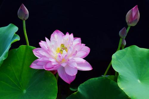 圖片關(guān)鍵詞 圖片關(guān)鍵詞