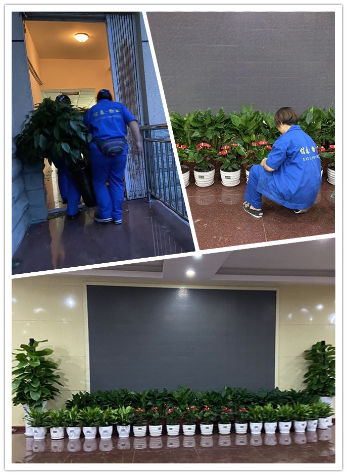 圖片關(guān)鍵詞 圖片關(guān)鍵詞