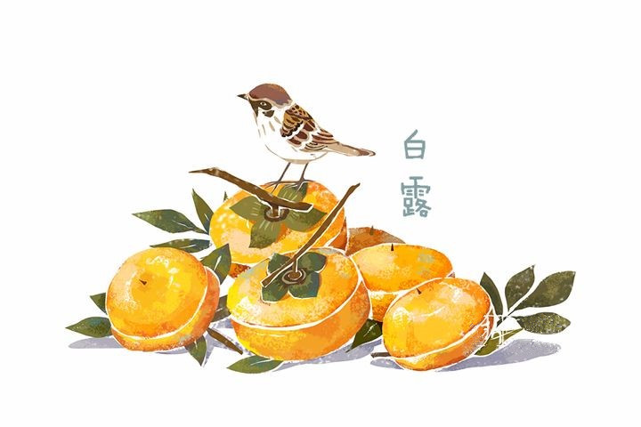 圖片關(guān)鍵詞 圖片關(guān)鍵詞