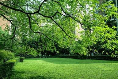 綠色，從信泰起航！