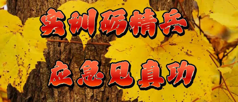 實(shí)訓(xùn)礪精兵 應(yīng)急見真功